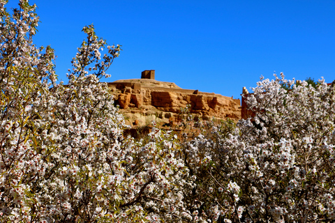 Marrakesch: Ganztagestour nach Aït-Ben-Haddou & Telouet