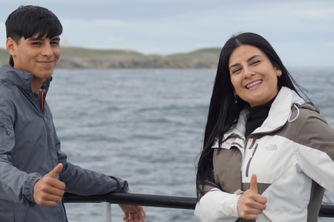 Punta Arenas: Ilha Magdalena - Passeio com pinguins e farol
