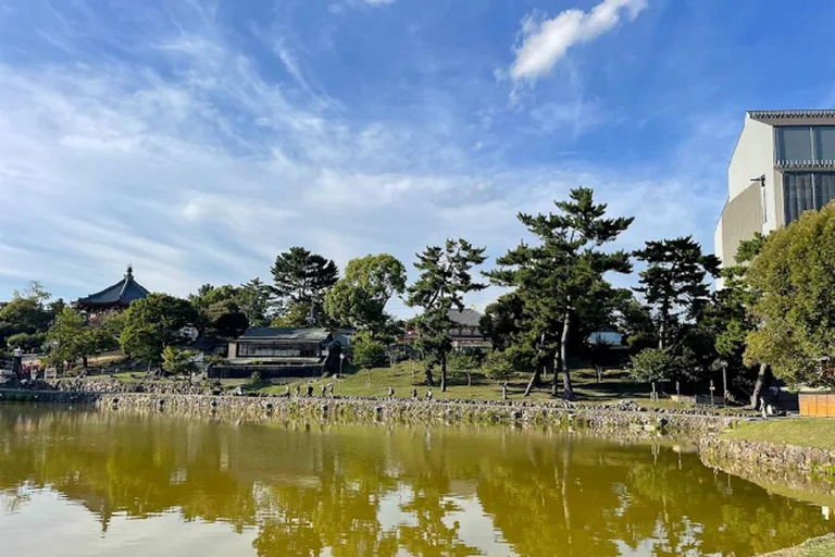 جولة ليوم واحد في نارا وأوجي - التركيز على ثقافة الراحة في كيوتوجولة ليوم واحد في نارا وأوجي - راحة ف