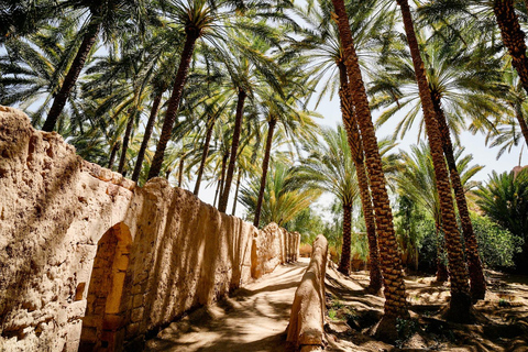 AlUla Solo Explorer: Private Cultural Highlights Tour