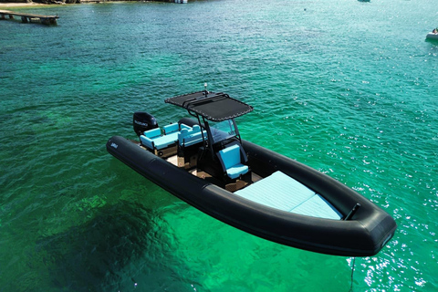 Golfo Aranci: Dolphin-watching tour on a luxury RIB boat with skipper Golfo Aranci: Dolphin-watching tour on a luxury RIB with skipper