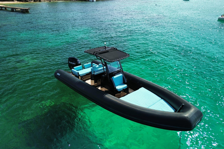 Golfo Aranci: Dolphin-watching tour on a luxury RIB boat with skipper Golfo Aranci: Dolphin-watching tour on a luxury RIB with skipper