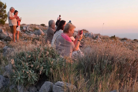 Dubrovnik: Private Cabrio Van Tour with Photo Stops