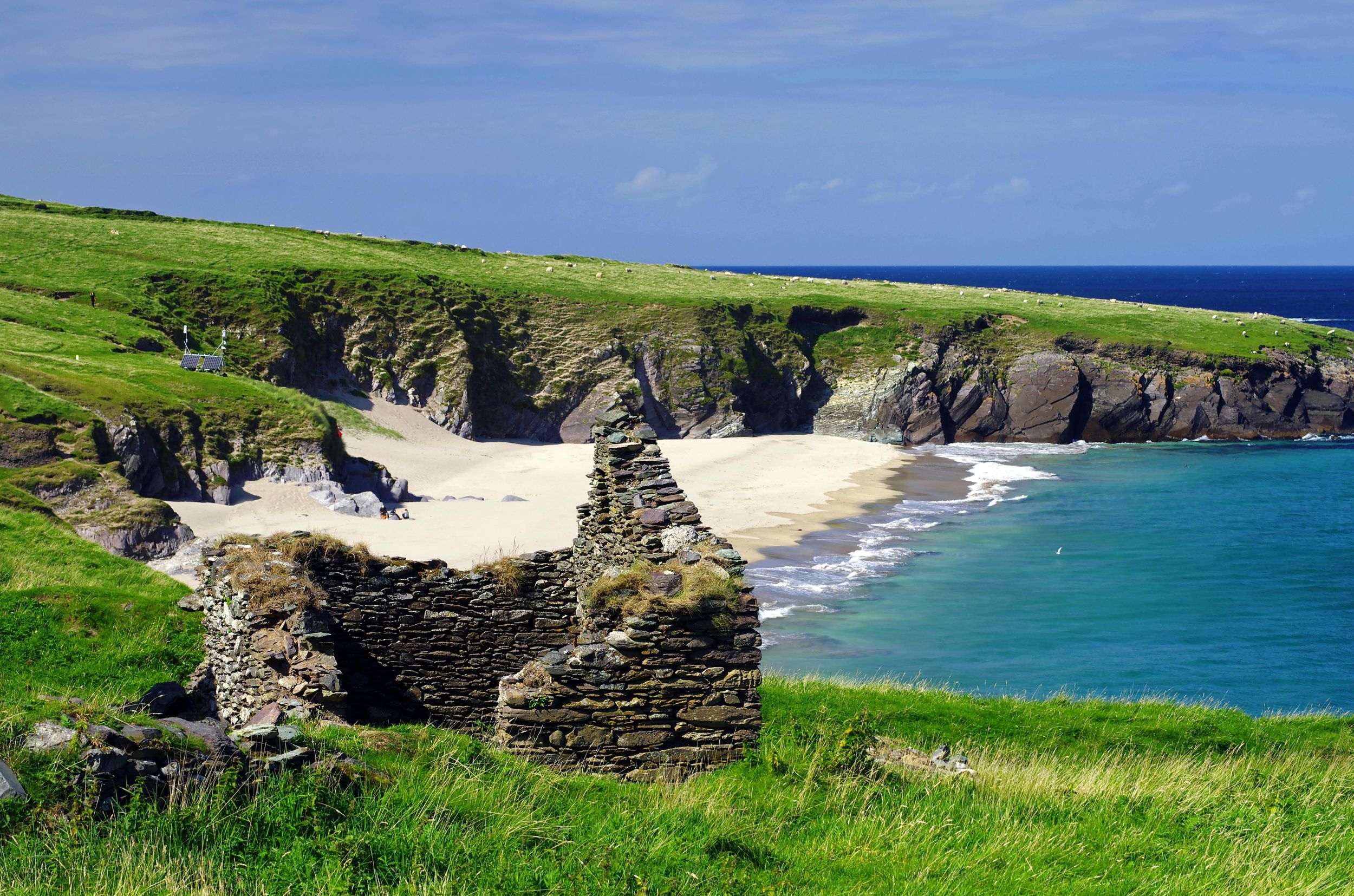 Dingle-Halbinsel: 3-stündige Bustour