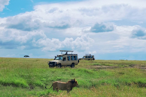 From Nairobi: Private 3-Day Masai Mara Big Five Game Drive