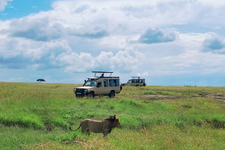 From Nairobi: Private 3-Day Masai Mara Big Five Game Drive