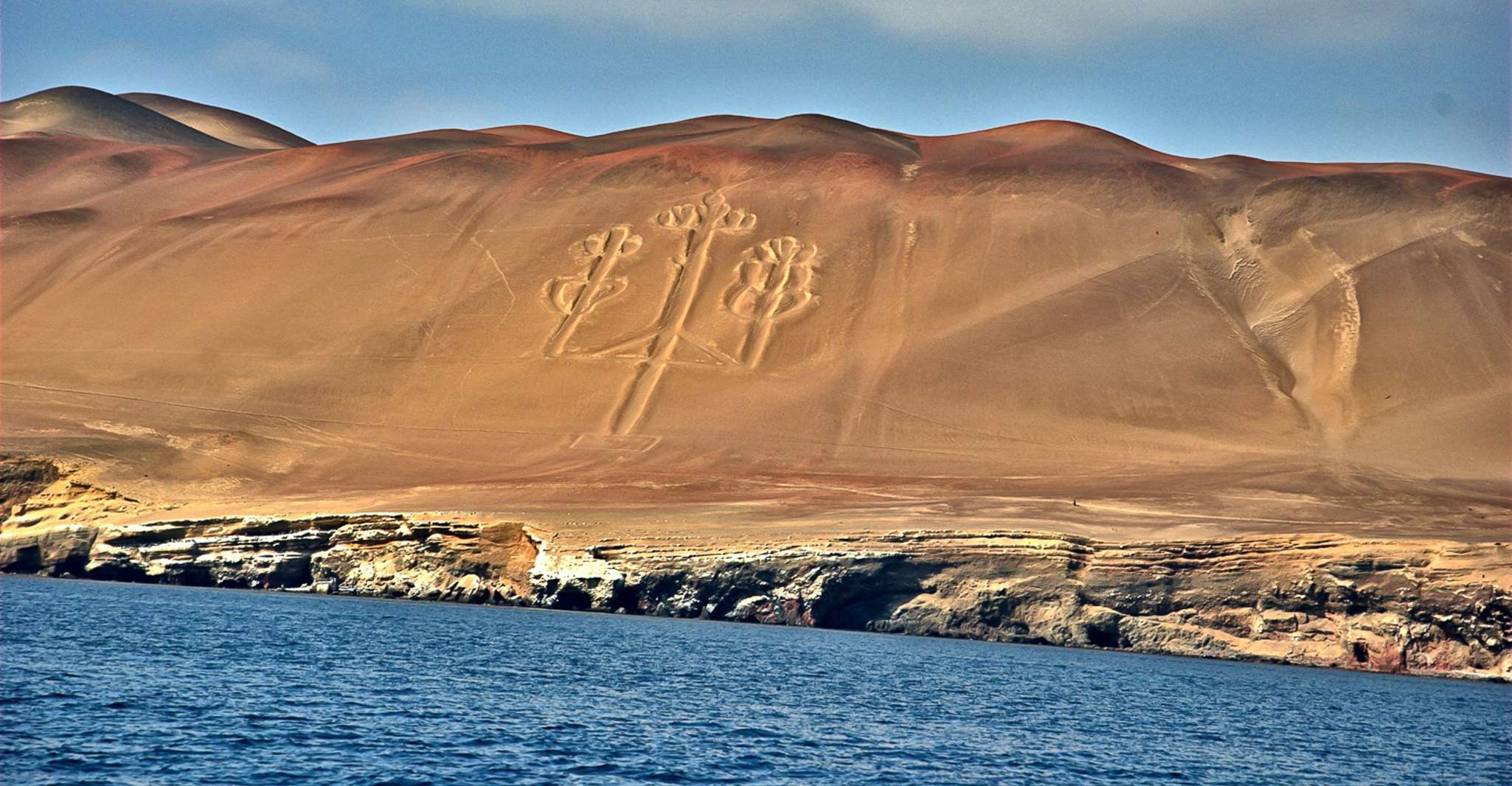 From Paracas, Ballestas Islands & Paracas National Reserve - Housity