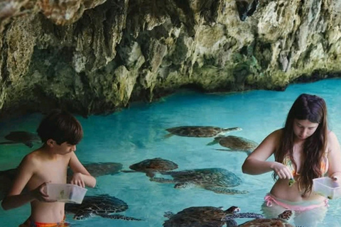 Zanzibar : Lagon Bleu, Étoiles de Mer et Tortues dans la Grotte de SalaamTransfert depuis n'importe quel hôtel à Zanzibar