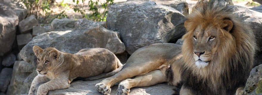 Gdansk : Zoo d'Oliwa avec billets et transport aller-retour