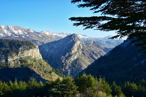 From Beirut: Balaa, Afka, Cedars, and Douma Cave Day Tour