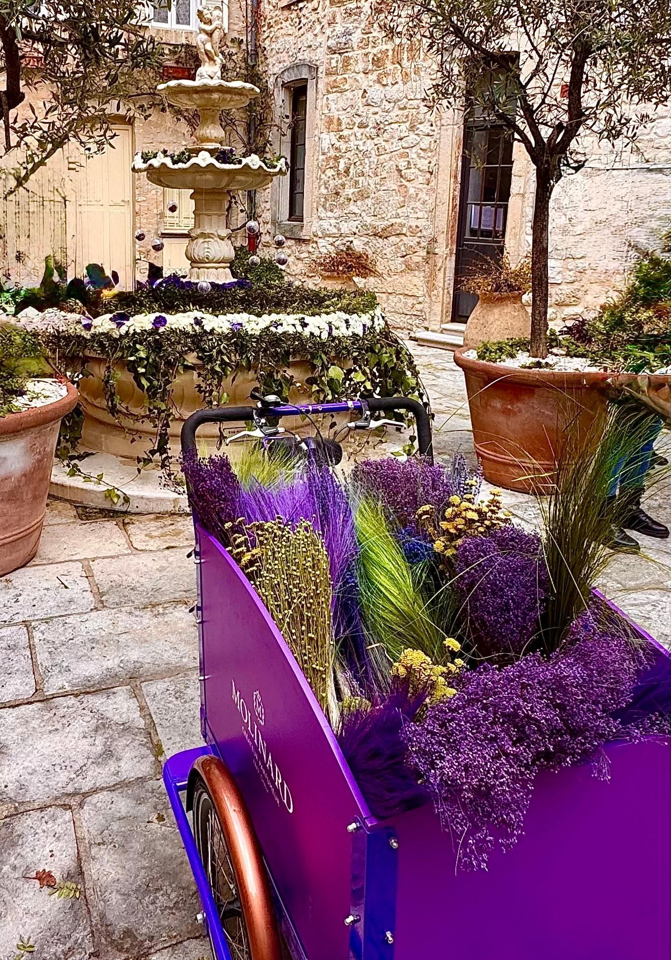 Lavendel, Wein & provenzalisches Dorf – Private Tour ab Cannes