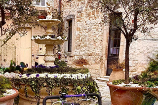 Lavender, Wine & Provençal Village – Private Tour Cannes