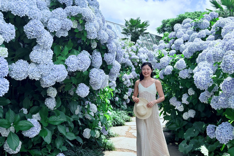 Jeju Trendy Café Tour and When Life Gives You Tangerines