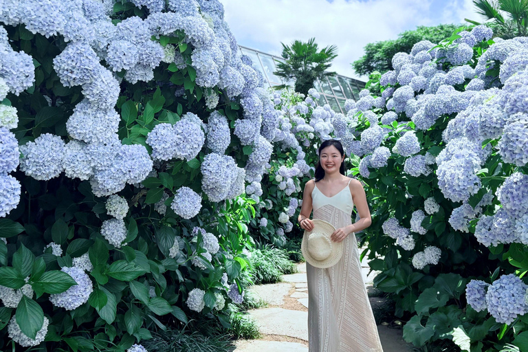 Jeju Trendy Café Tour and When Life Gives You Tangerines