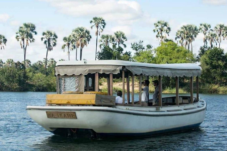 Victoria Falls: Zambezi River Birdwatching Cruise & Pickup