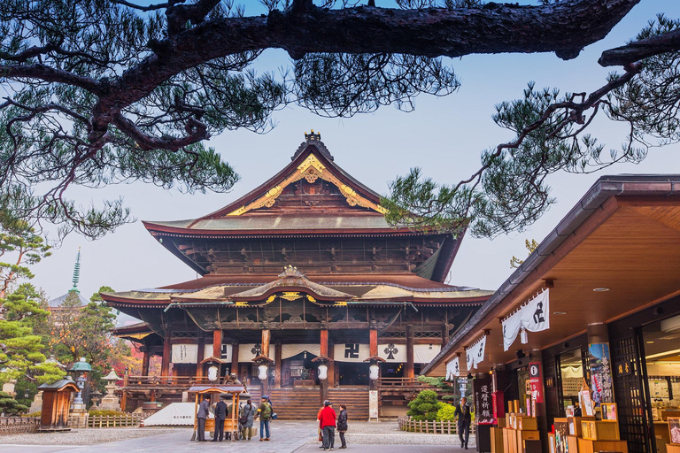 Private Nagano Luxury Cultural & Nature Day Tour from Tokyo