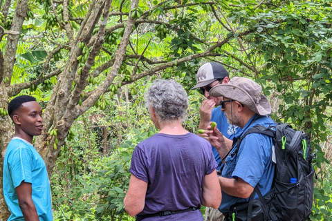 Spice Farm Bike Tour: Pedal Through Aromatic Adventures