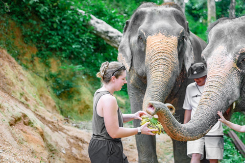 Canopy Forest Tiger Safari ATV Ride ,Feed Elephant Sanctuary Phuket: ATV Ride & Feeding Elephant Sanctuary