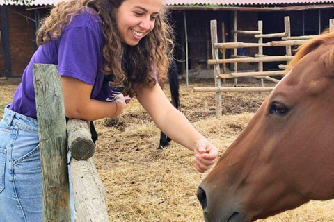 Tuscany Horseback Ride, Lunch, & Wine - Small Group From San Gimignano