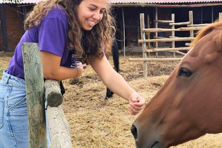 Tuscany Horseback Ride, Lunch, & Wine - Small Group From San Gimignano