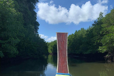 Ko Lanta: Halve dag mangrove tour en vistour