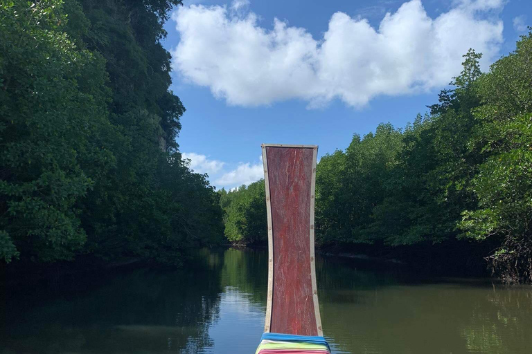 Ko Lanta: Halvdags mangrovetur och fisketur