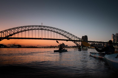 جولة قوارب الكاياك عند شروق الشمس في ميناء سيدني