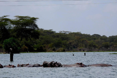Nairobi: Crescent Island Sanctuary Day Trip with Lunch Nairobi: Crescent Island Sanctuary private day Trip