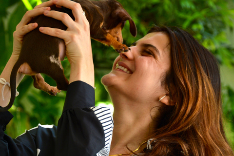 Bali : Cours de yoga pour chiots à Canggu avec boissons rafraîchissantes