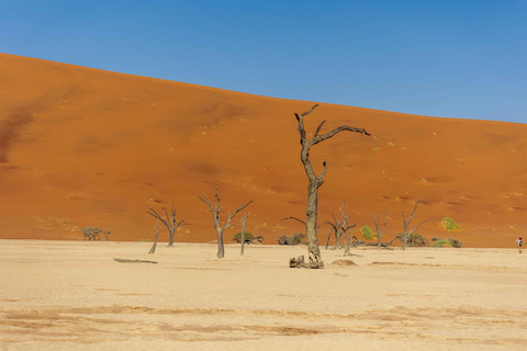 Swakopmund: 3-Day Namib Signature Desert Tour