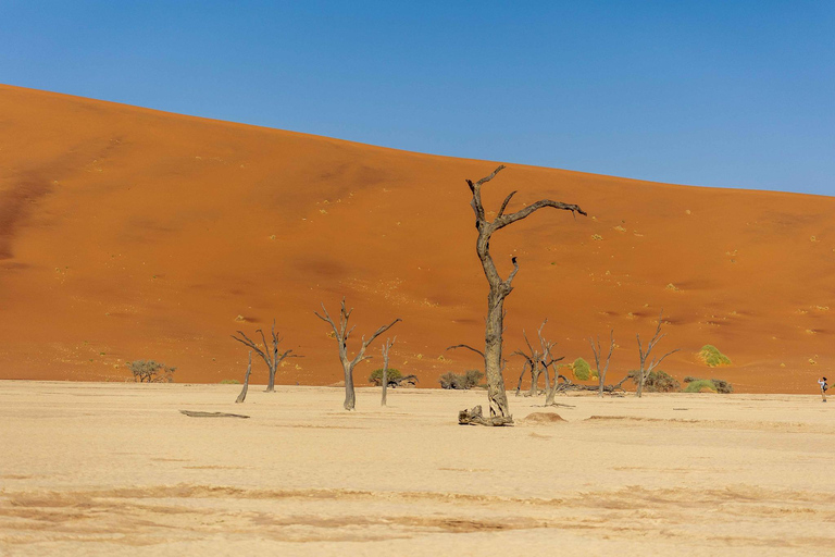 Swakopmund: 3-Day Namib Signature Desert Tour