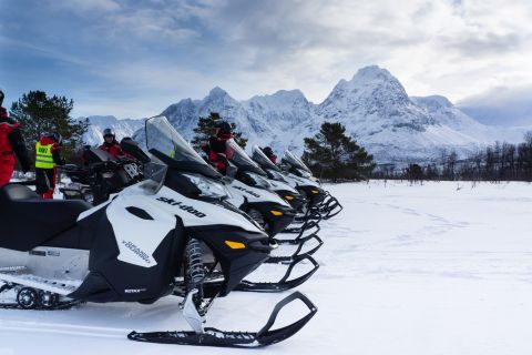 Z Tromsø: Safari na skuterach śnieżnych w Alpach Lyngen