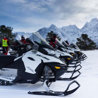 Fra Tromsø: Snescooter-safari i Lyngen Alperne