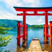 From Tokyo: Mount Fuji Private Day Trip with Guide