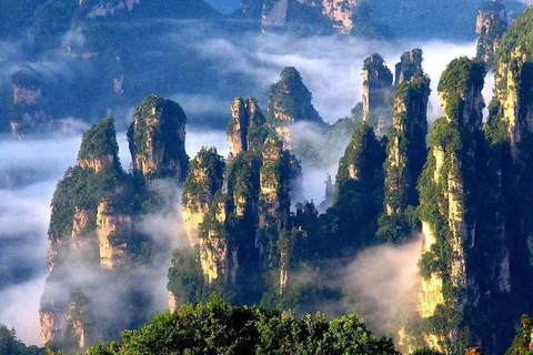 Zhangjiajie: Avatar Mountains, Tianzi, 72 Tower private tour