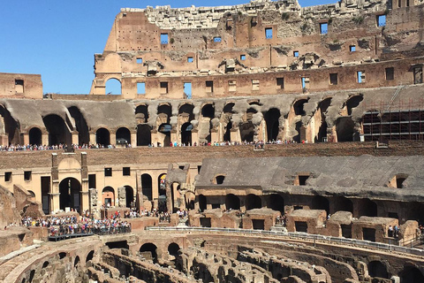 Rome: Colosseum-Forum-Palatine access & Introductory Video Option with Arena Access