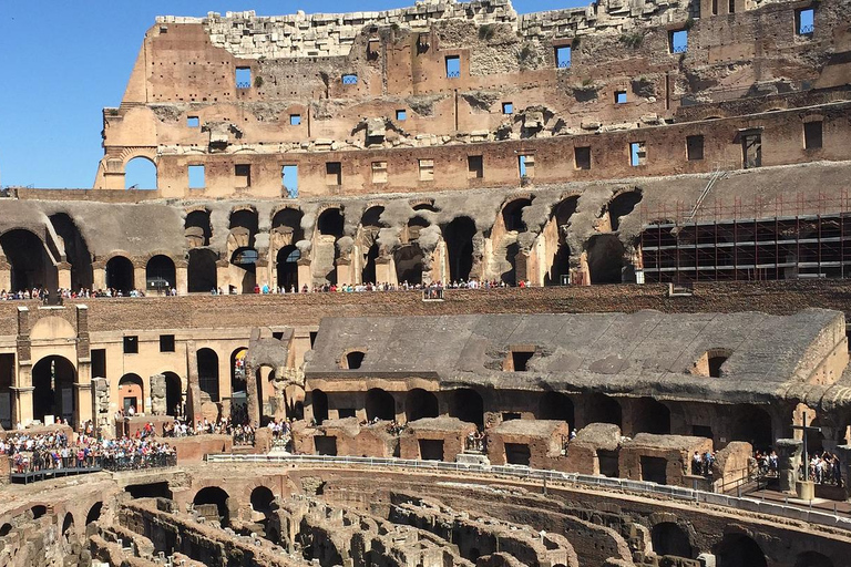 Rome: Colosseum-Forum-Palatine access & Introductory Video Option with Arena Access