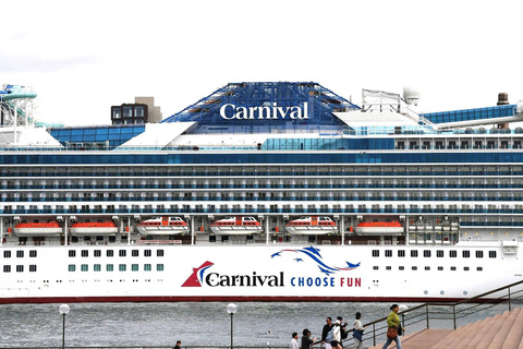 Tour of LA & Hollywood from Carnival Cruise Terminal, LB