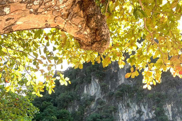 Koh Yao Yai/Noi: 5-Island Private Tour with Snorkel & Lunch