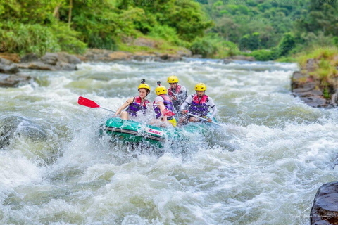 Sri Lanka : Grand tour de 15 jours avec vacances