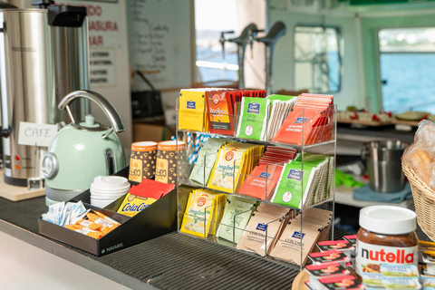 Ibiza: Formentera Tour with Meals Water Activity & Free Time