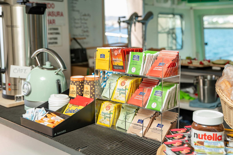 Ibiza: Formentera Tour with Meals Water Activity & Free Time