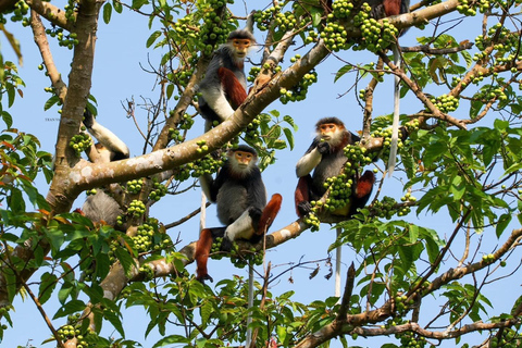 Marvelous Monkey Mountain - Son Tra Peninsula Private Tour Monkey mountain - Son Tra Peninsula Private Tour (No meal)