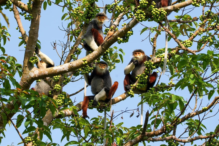 Marvelous Monkey Mountain - Son Tra Peninsula Private Tour Monkey mountain - Son Tra Peninsula Private Tour (No meal)