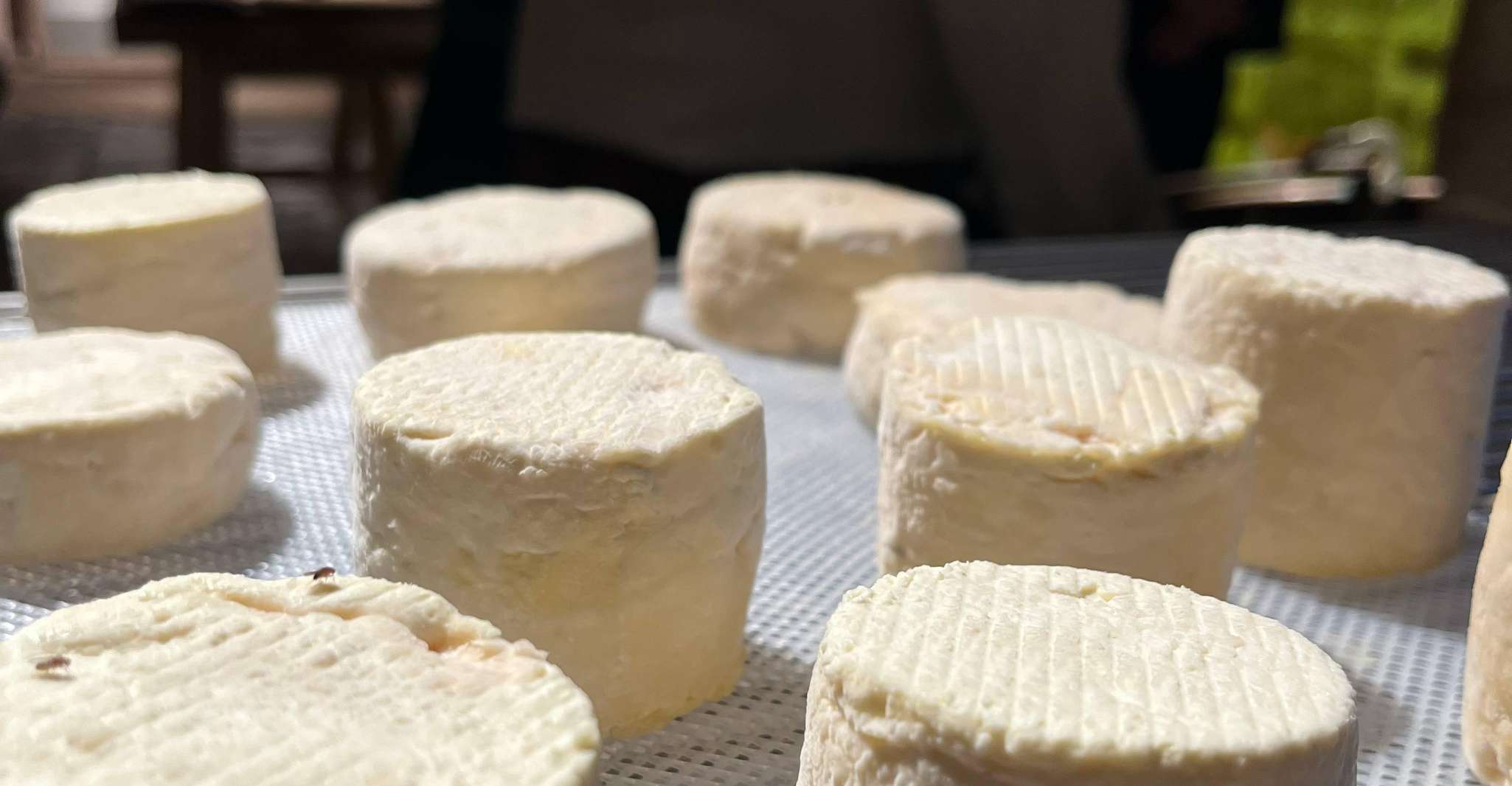 Paris: Living Cheese Museum Guided Tour with Cheese Tasting photo 4