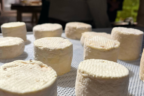 Paris: Living Cheese Museum Guided Tour with Cheese Tasting