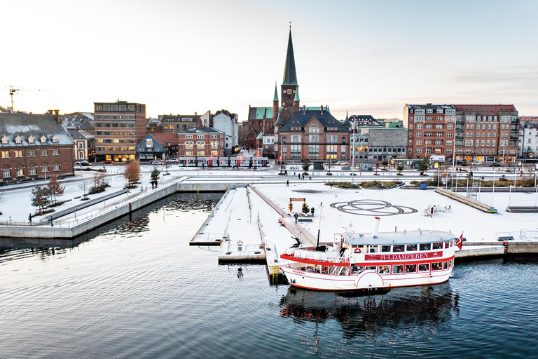 Aarhus: Christmas Harbor Cruise with Local Guide
