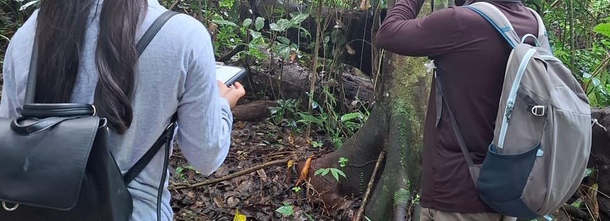 Visite guidée à pied dans la jungle de Palenque (Parc national de Palenque)