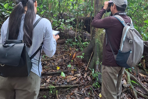 Walking tour in the archaeological site and jungle of Palenque