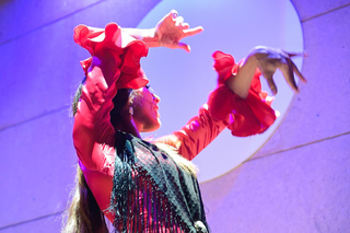Valencia: La Linterna Flamenco Show